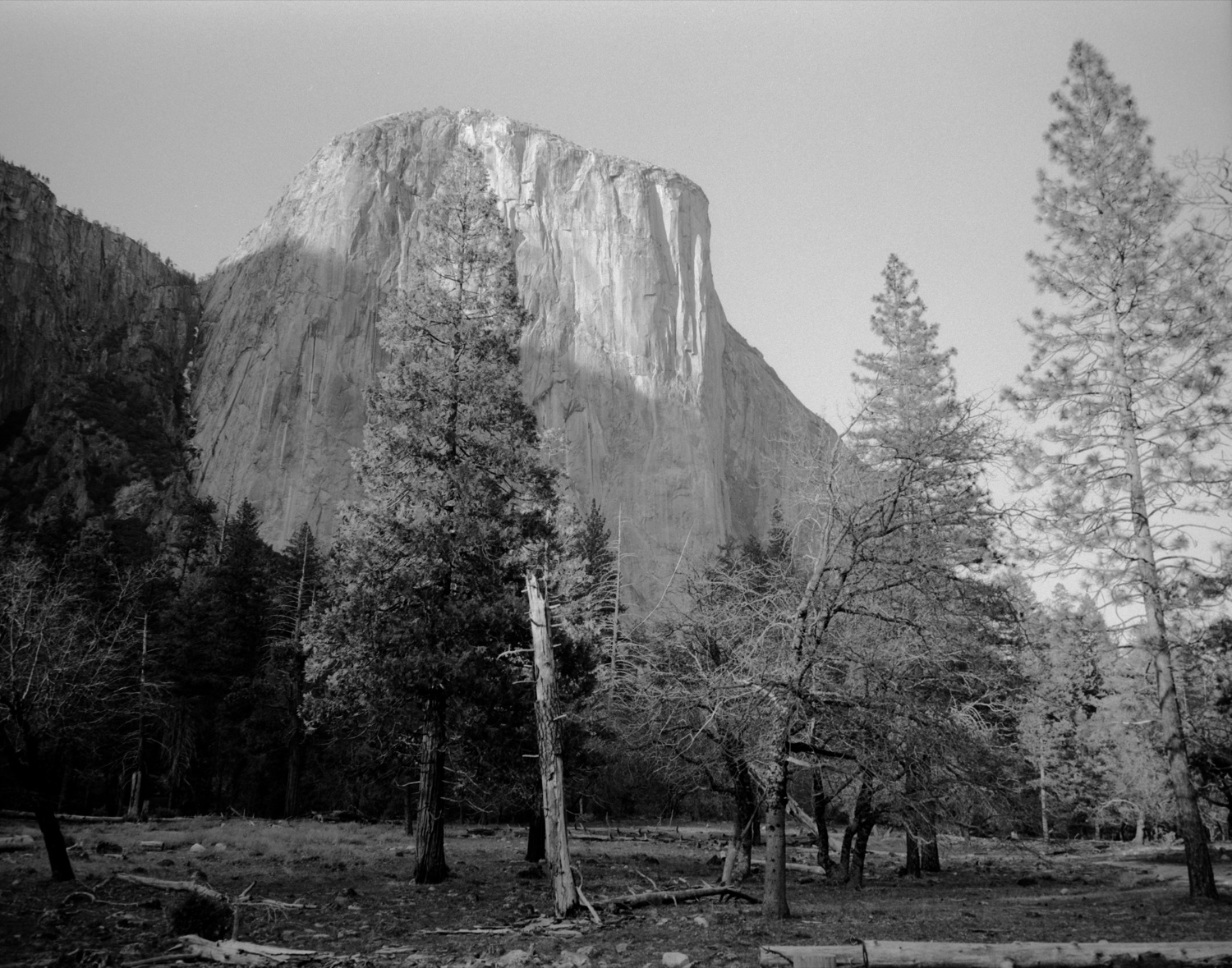 Film 18