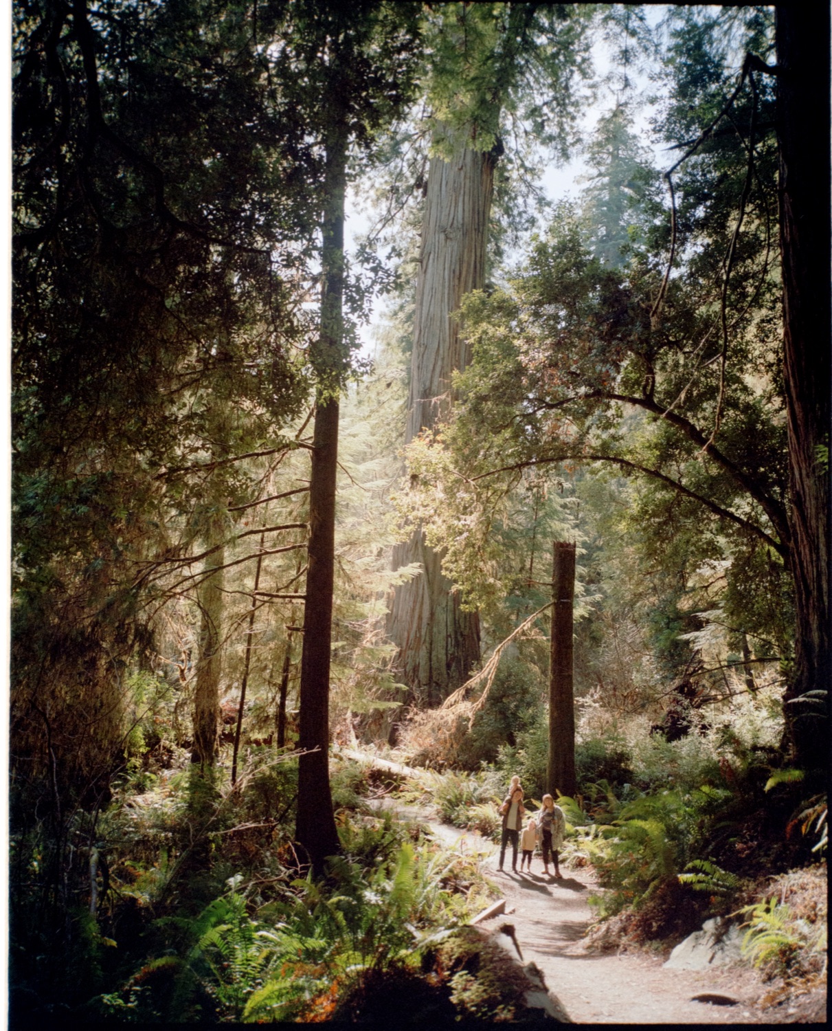 Film 20