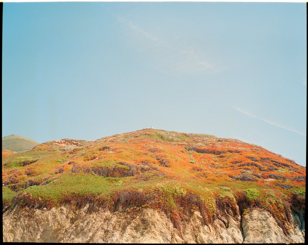 Film 100