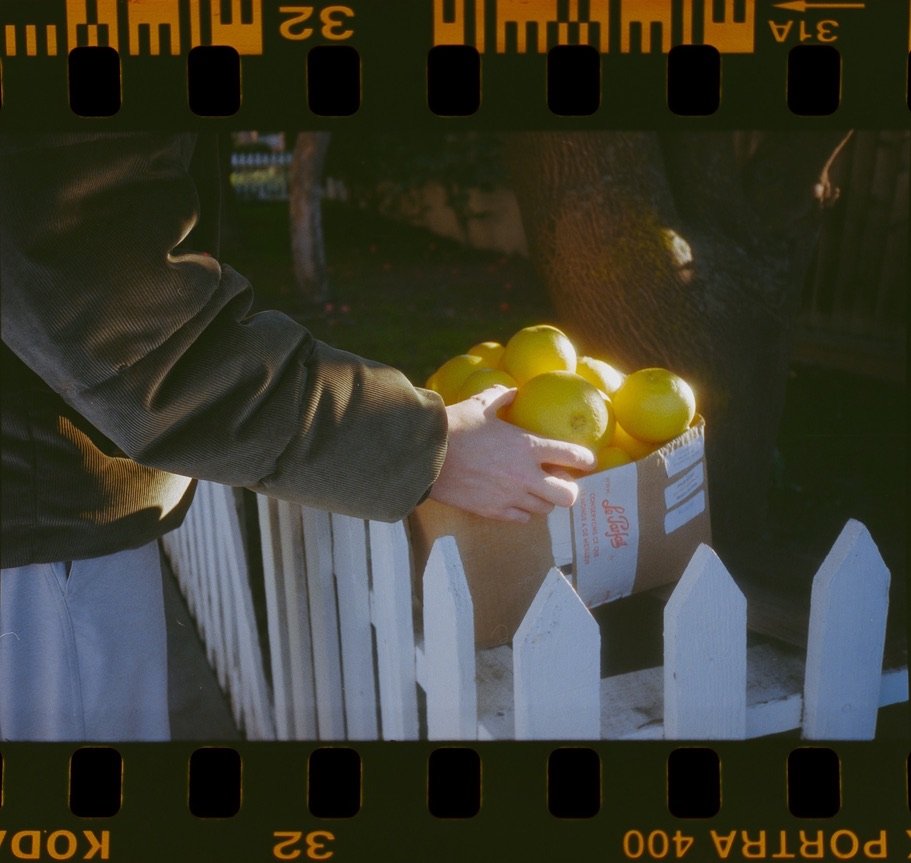 Film 83
