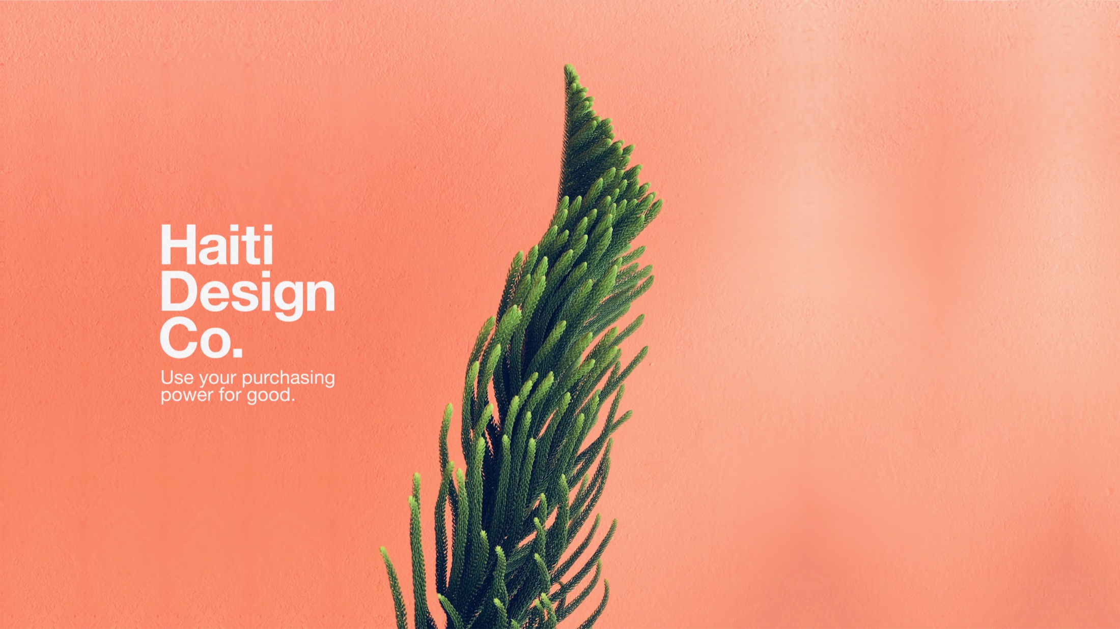 Haiti Design Co. - Shop Different